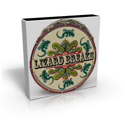LizardBreaksBox